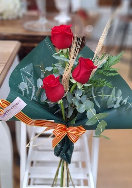 Rosas "Park Güel"