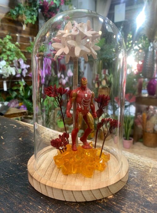 Cúpula con Biznaga y Héroe IX